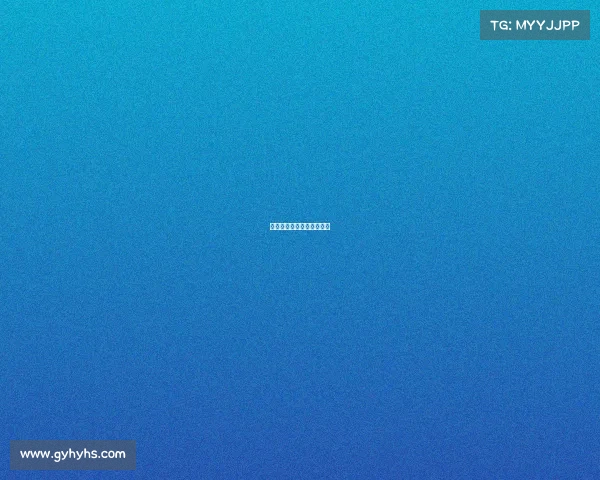 保罗亨特所有的赛事有哪些